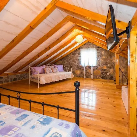 Vlatka Holiday home *