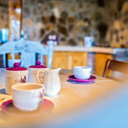 Vlatka Holiday home Lozovac