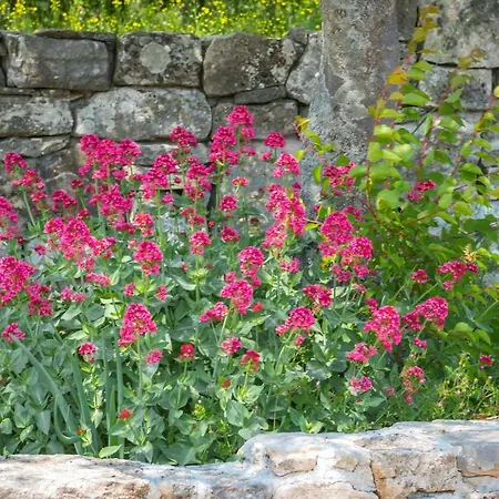 Holiday home Vlatka Lozovac