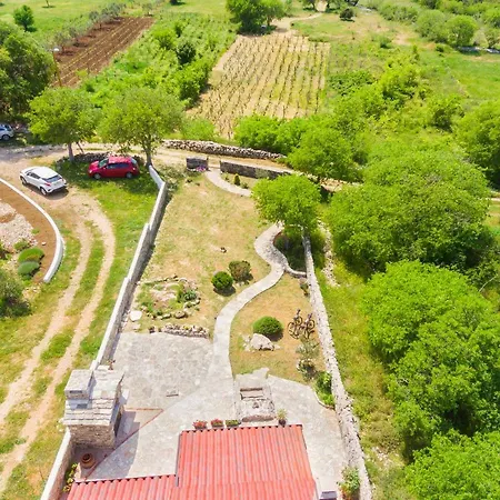 Vlatka