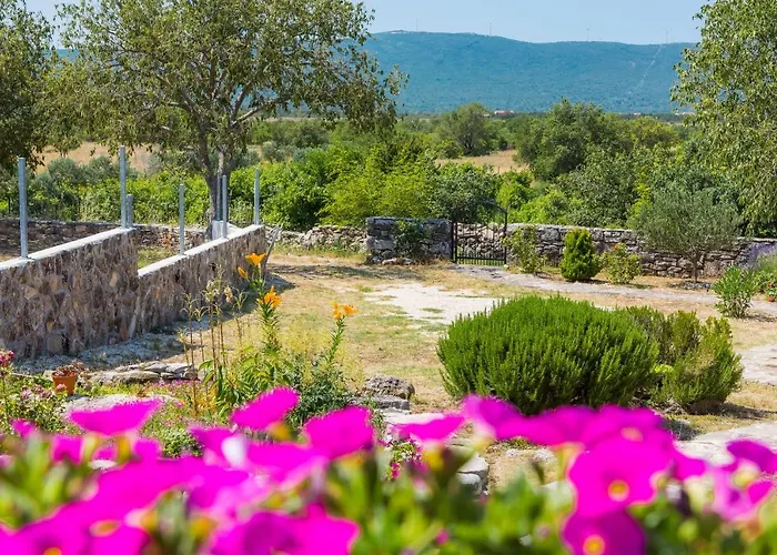 Vlatka Hébergement de vacances