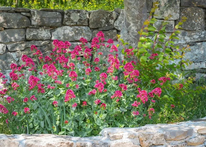 Holiday home Vlatka Lozovac